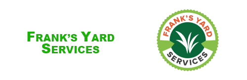 professional-logo_eg1