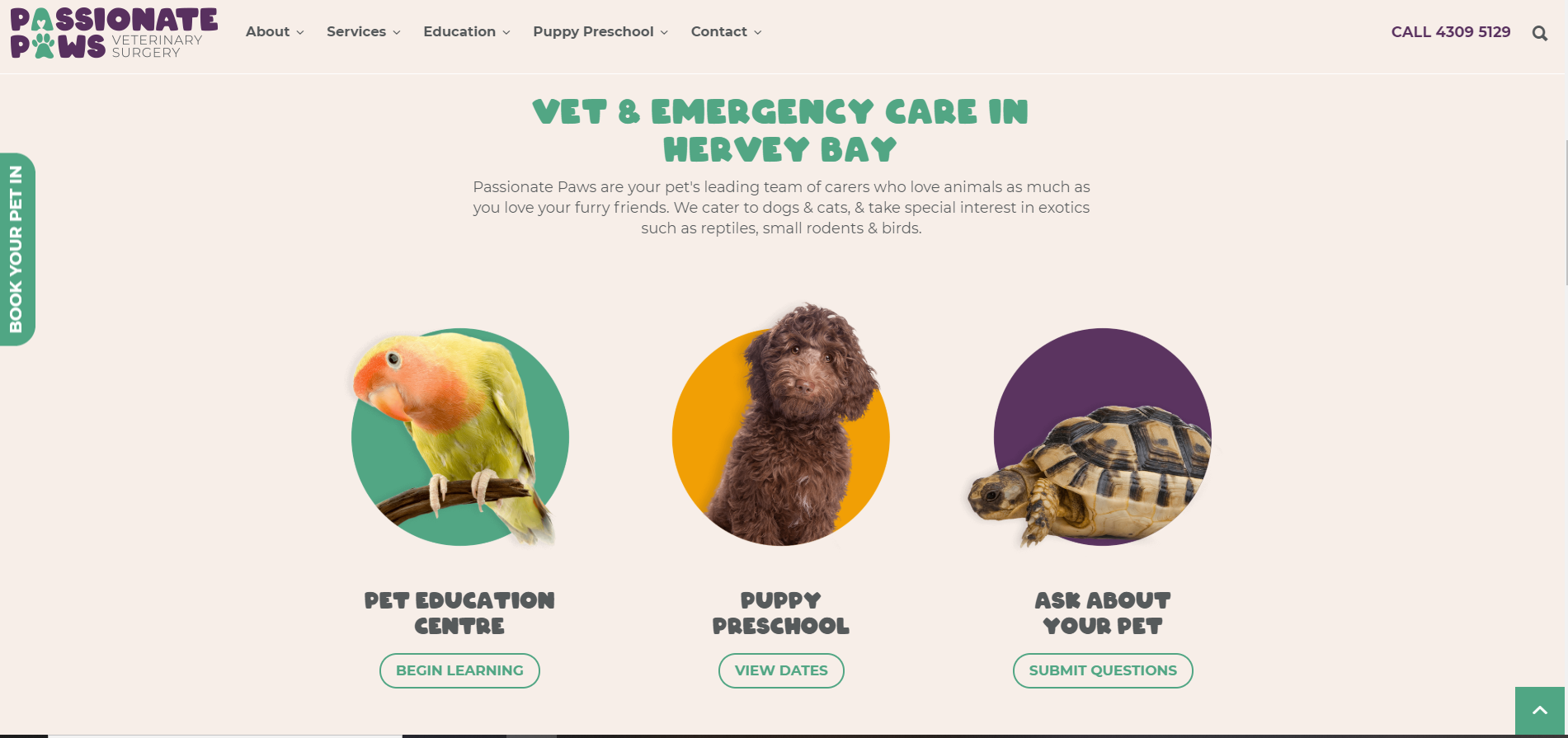 passionate paws website design inspiration - itag media
