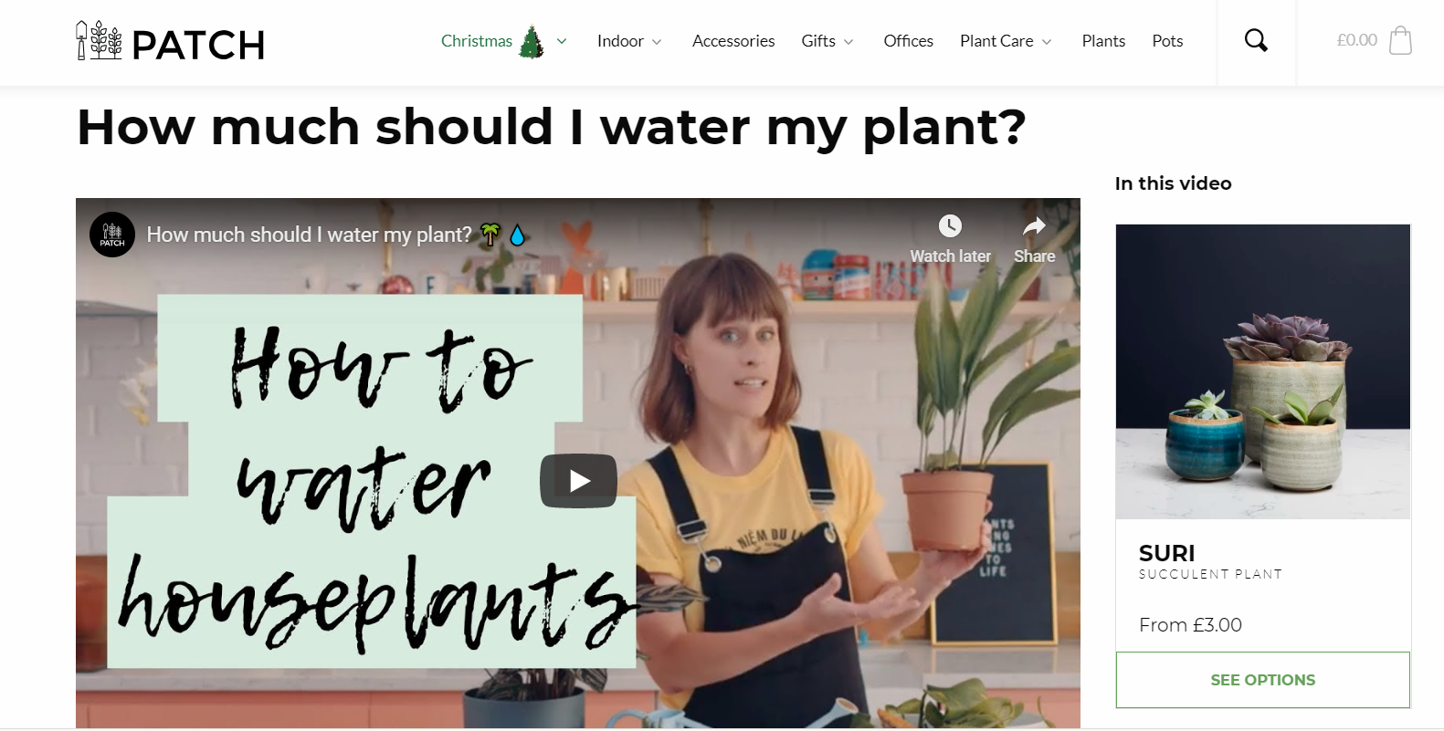 patchplants website design inspiration - Itag Media